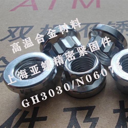 GH3030（N06075/2.4630/2.4951）不銹鋼法蘭螺母