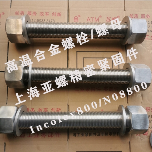 Incoloy800/NS1101/N08800/1.4876不銹鋼螺栓/螺母